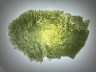 Moldavitt 11,40g thumbnail