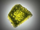 Moldavitt 7,33g thumbnail