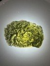 Moldavitt 8,04g thumbnail
